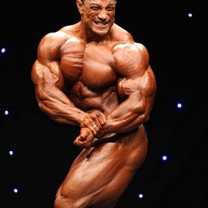 2011 Bodybuilding images