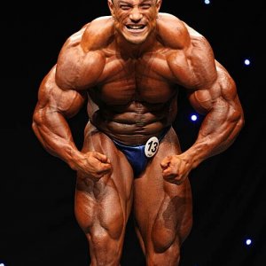 2011 Bodybuilding images