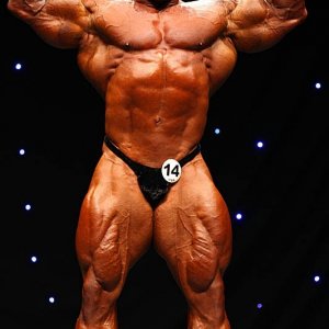 2011 Bodybuilding images