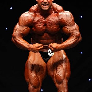 2011 Bodybuilding images