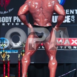 2011 Bodybuilding images