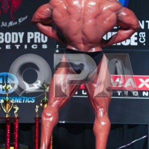 2011 Bodybuilding images