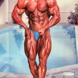 2011 Bodybuilding images