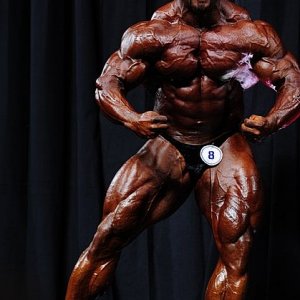 2011 Bodybuilding images