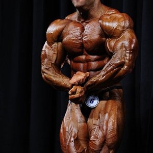 2011 Bodybuilding images