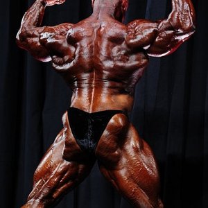 2011 Bodybuilding images