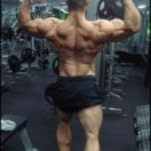 2011 Bodybuilding images