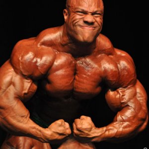 2011 Bodybuilding images