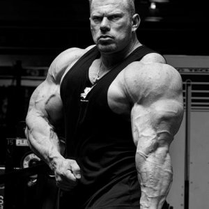 2011 Bodybuilding images