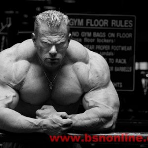 2011 Bodybuilding images