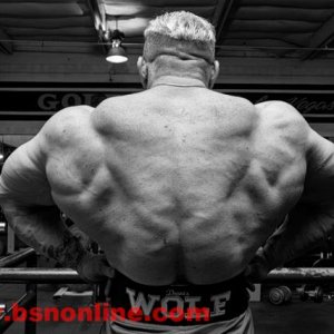 2011 Bodybuilding images