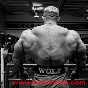 2011 Bodybuilding images