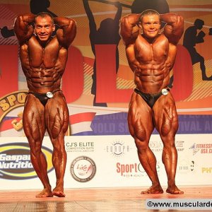 2011 Bodybuilding images