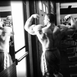 2011 Bodybuilding images