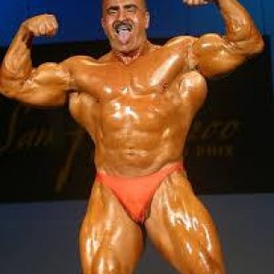 2011 Bodybuilding images