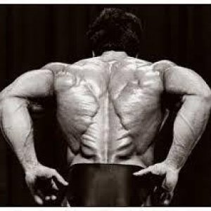 2011 Bodybuilding images