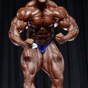 2011 Bodybuilding images