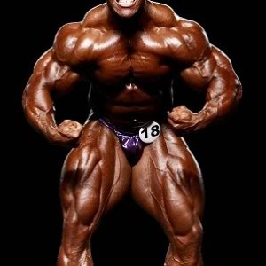 2011 Bodybuilding images