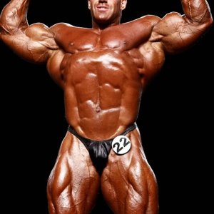 2011 Bodybuilding images