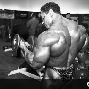 2011 Bodybuilding images