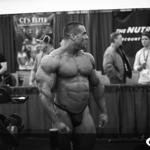 2011 Bodybuilding images