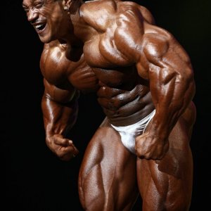 2011 Bodybuilding images