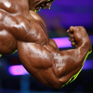 2011 Bodybuilding images