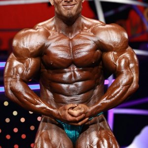 2011 Bodybuilding images