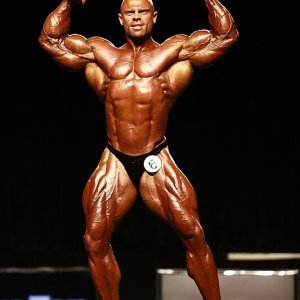 2011 Bodybuilding images