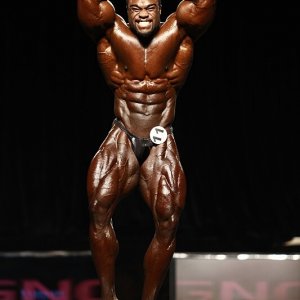 2011 Bodybuilding images