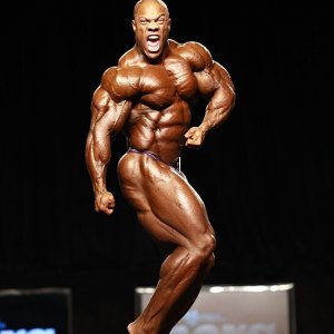 2011 Bodybuilding images