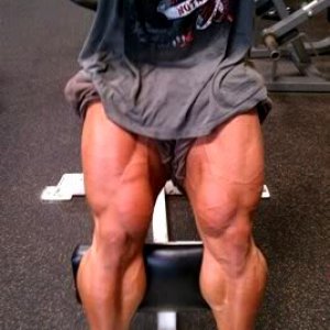 2011 Bodybuilding images