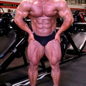 2011 Bodybuilding images