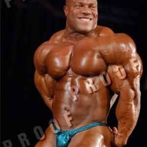 2011 Bodybuilding images