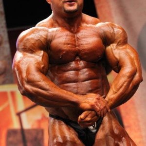 2011 Bodybuilding images