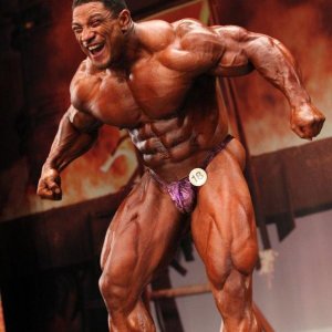 2011 Bodybuilding images