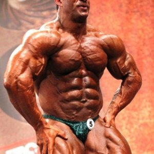 2011 Bodybuilding images