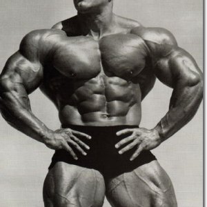 2011 Bodybuilding images