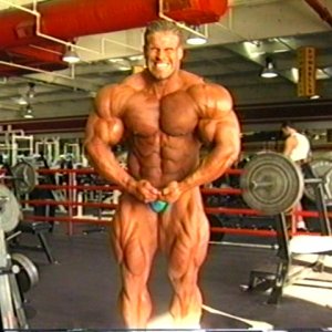 2011 Bodybuilding images