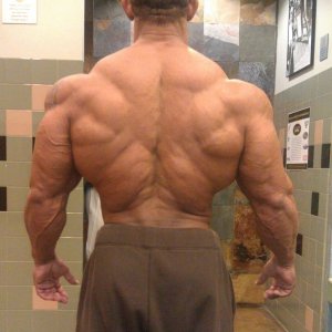 2011 Bodybuilding images