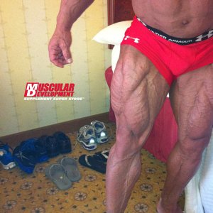 2011 Bodybuilding images