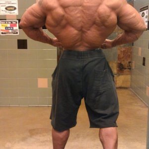 2011 Bodybuilding images