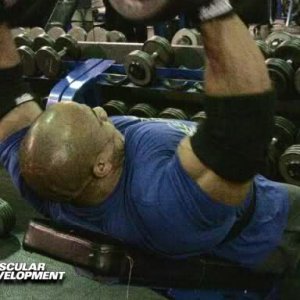 2011 Bodybuilding images