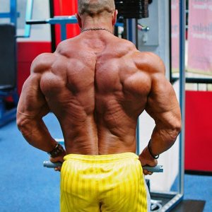 2011 Bodybuilding images