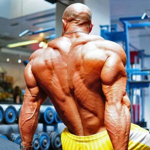 2011 Bodybuilding images