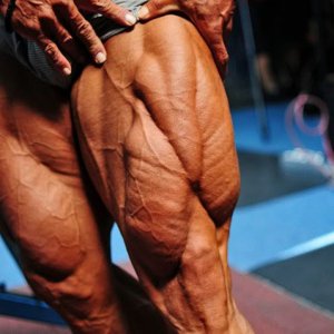 2011 Bodybuilding images