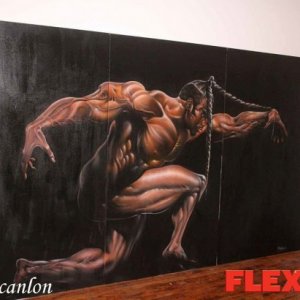 2011 Bodybuilding images