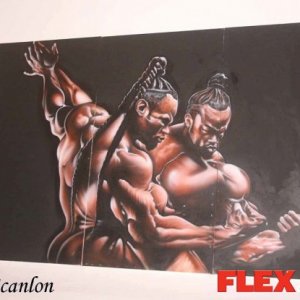 2011 Bodybuilding images