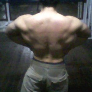 2011 Bodybuilding images