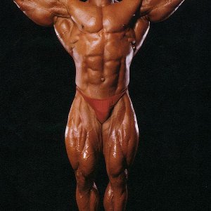 2011 Bodybuilding images